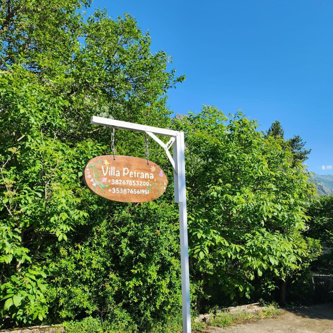 Villa Petrana 科托尔 外观 照片